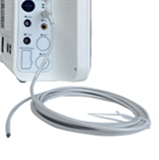 veterinary temperature probe