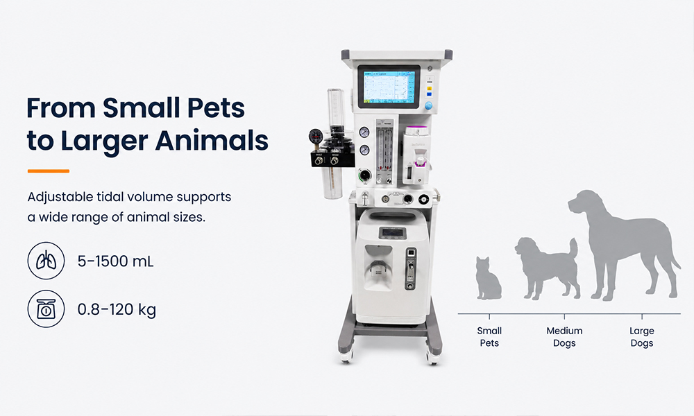 Portable Veterinary Anesthesia Machine