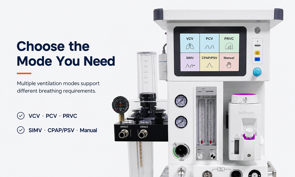 Veterinary Anesthesia Machine with Ventilator