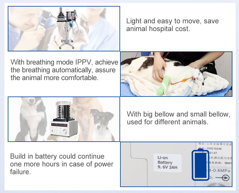 Features Of Pet Anesthesia Ventilator