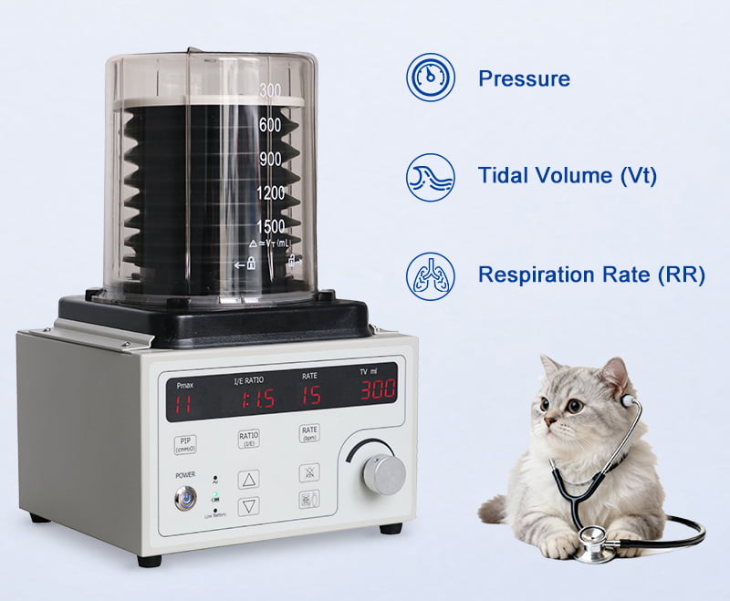 Real-Time LCD Monitoring