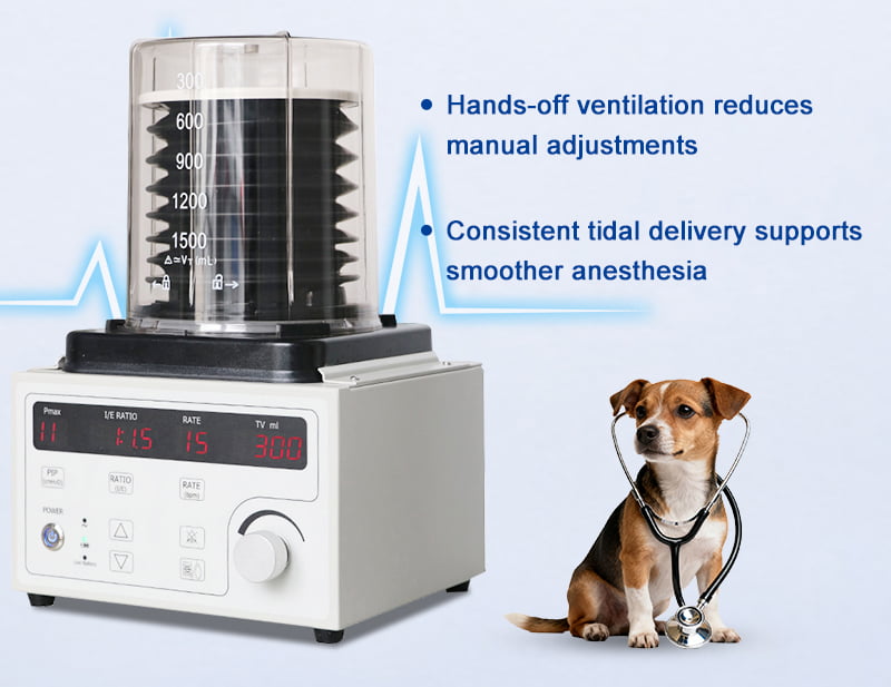 Automatic IPPV for Stable Intra-operative Ventilation