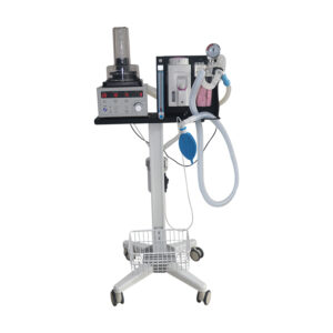 VET-V5 animal anesthesia ventilator for veterinary hospitals