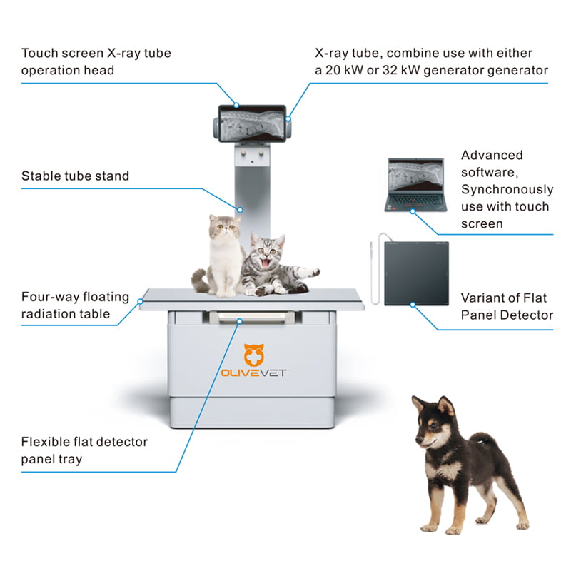 Considerate module structure for theanimals and veterinarians