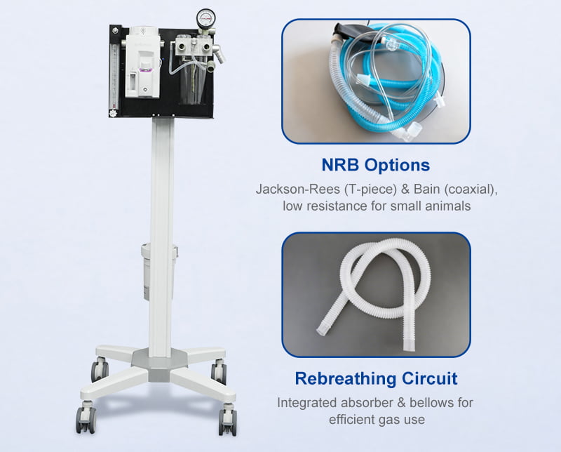 Rebreathing & Non-Rebreathing Flexibility