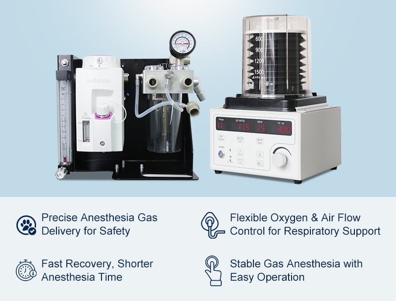 Comprehensive Anesthesia & Ventilationfor Safe Animal care