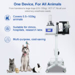 Veterinary Anesthesia Equipment for Small Animal Surgery