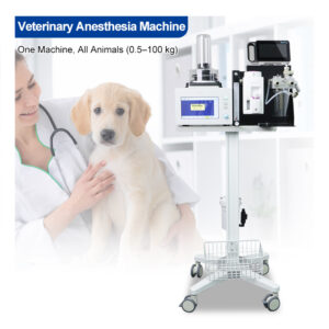 VET-VT Veterinary Anesthesia Machine For Safe Procedures
