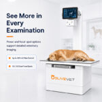 Portable Veterinary X-ray Machine