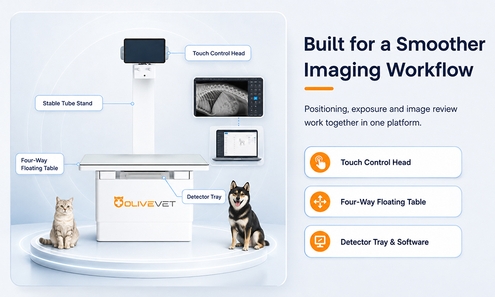 Veterinary X-ray Machine for Dogs and Cats
