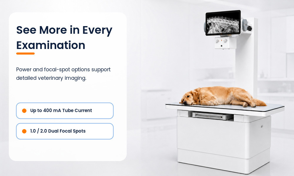 Animal Hospital X-ray Machine