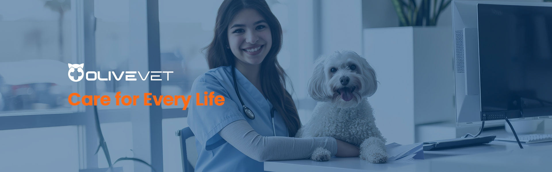 About Olivevet Veterinary Medical Equipment