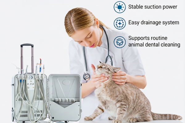 Veterinary dental unit for pets