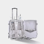 Portable veterinary dental unit