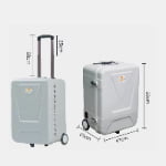 Portable animal dental unit