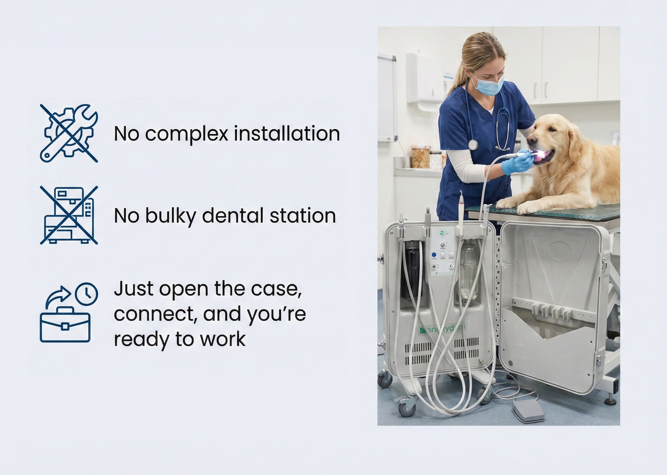 Portable veterinary oral care unit