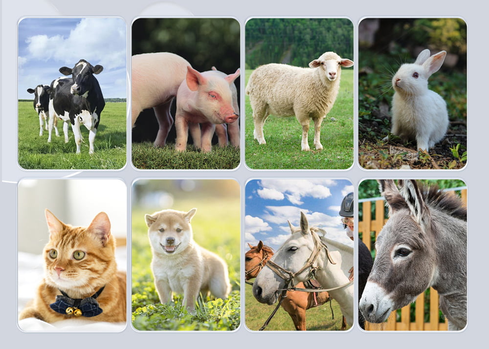 Suitable for Animals of All Sizes