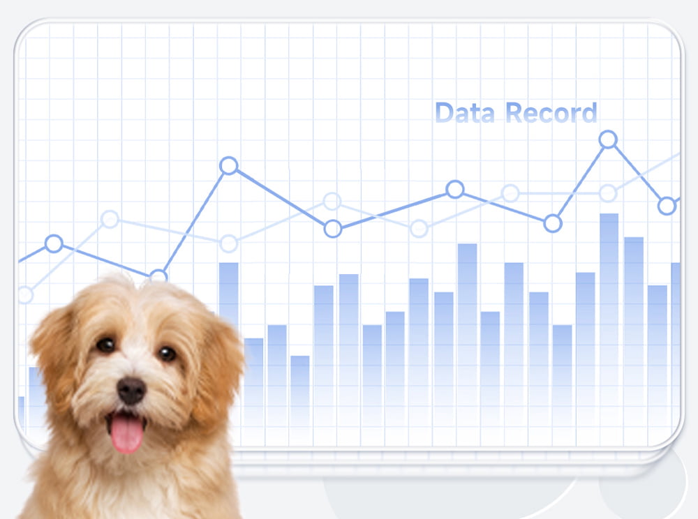 Comprehensive Data Storage & Review