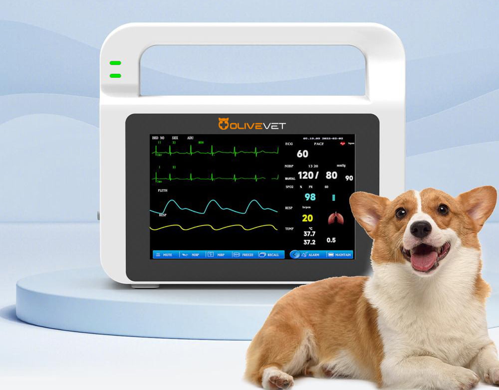 Veterinary Vital Signs Monitor with 5-Inch Display