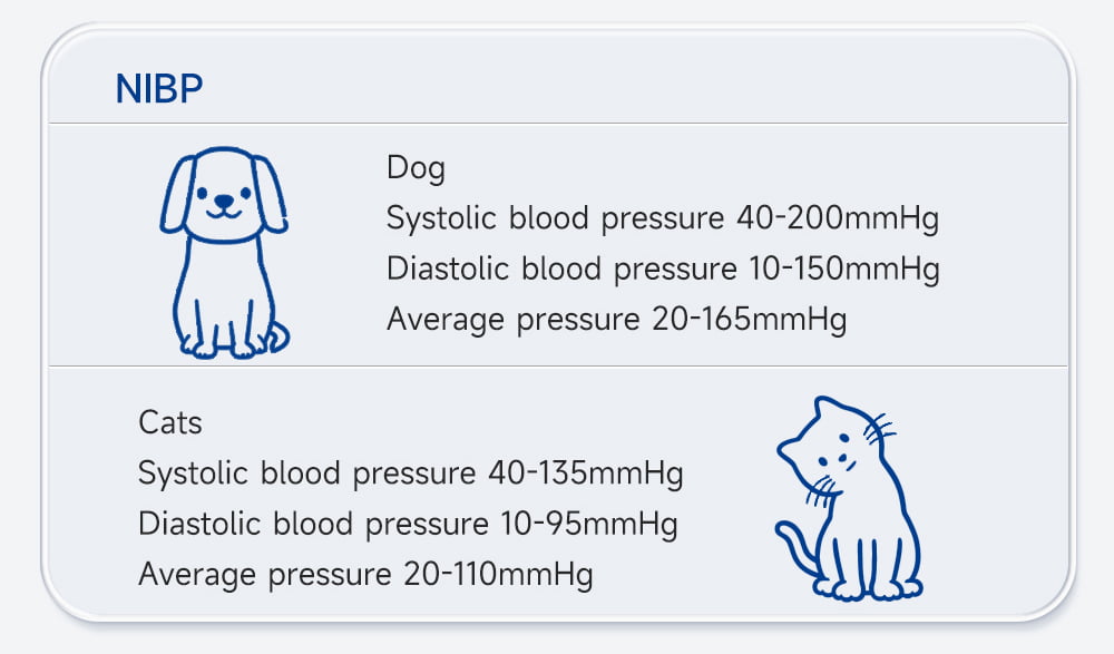 3-in-1 Essential Monitoring