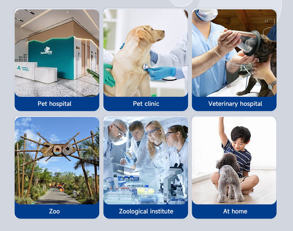 Various Application Scenarios