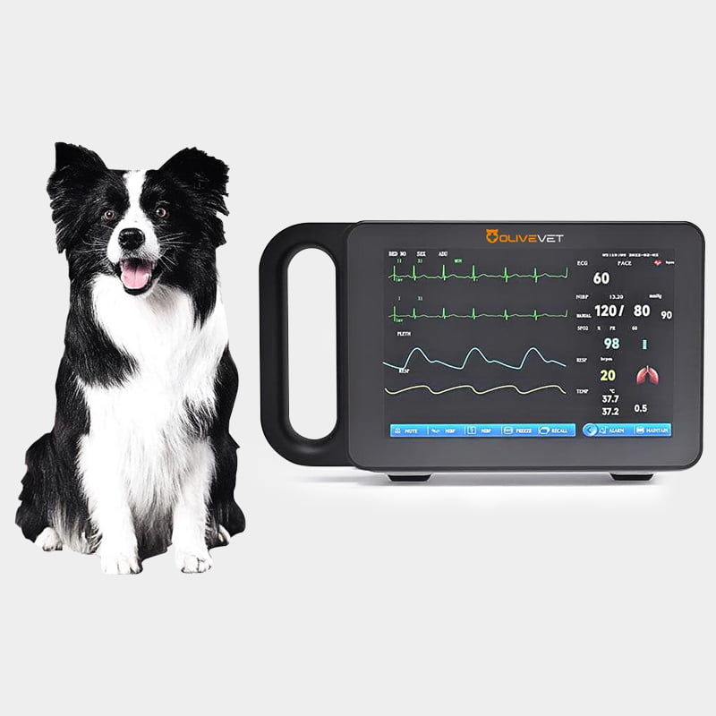 Veterinary Portable Multiparameter Monitor – VET-VE7