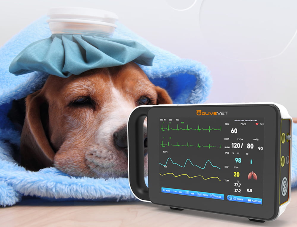 Reliable Power & Mobility