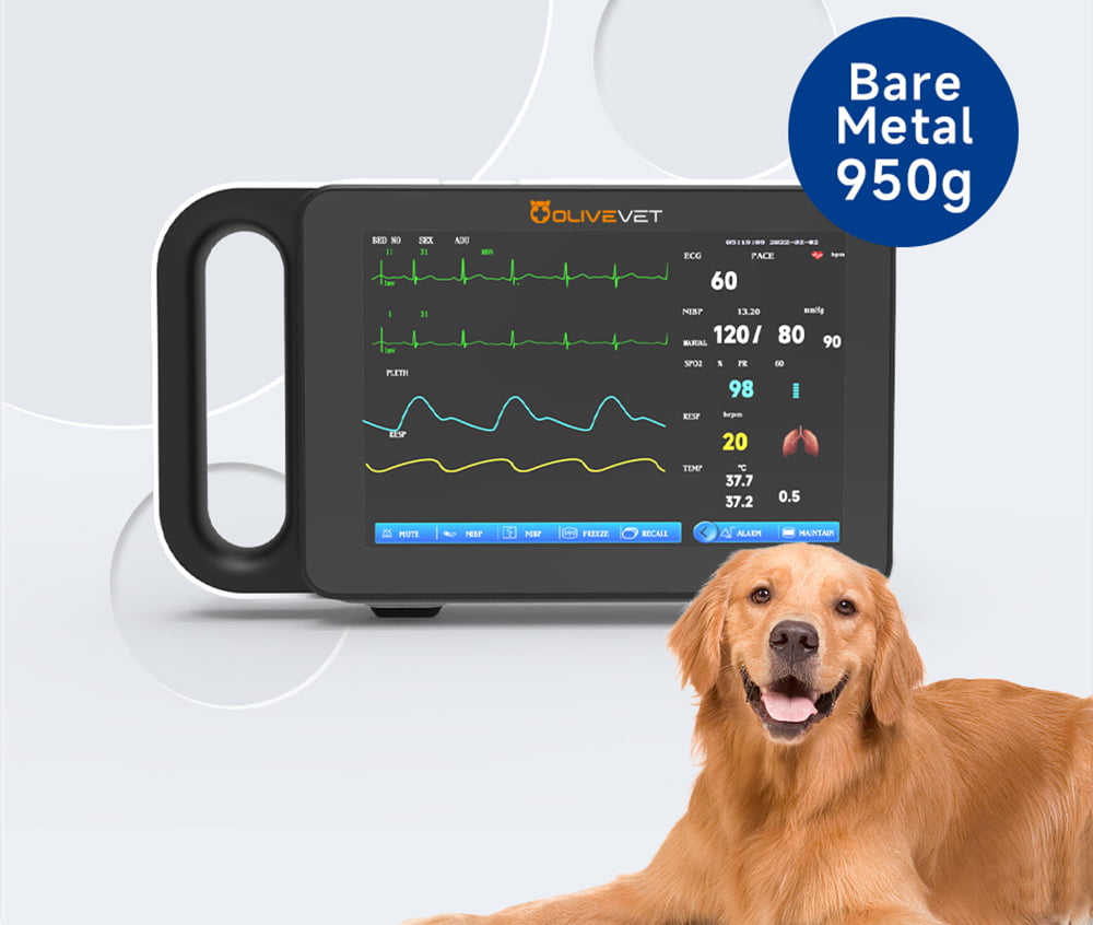 Compact & Portable Design