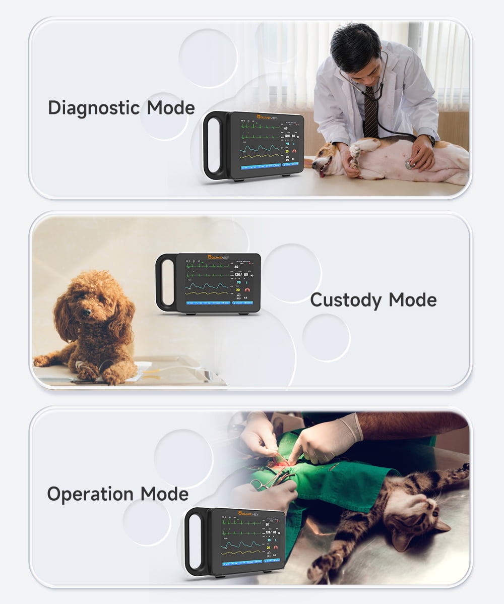 Multiple modes of operation All-round care for pet health