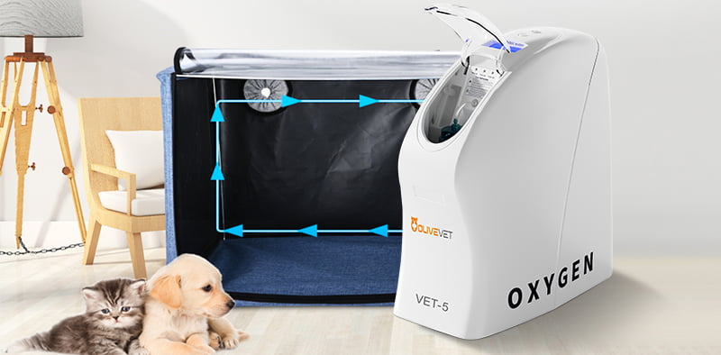 Compact veterinary oxygen concentrator