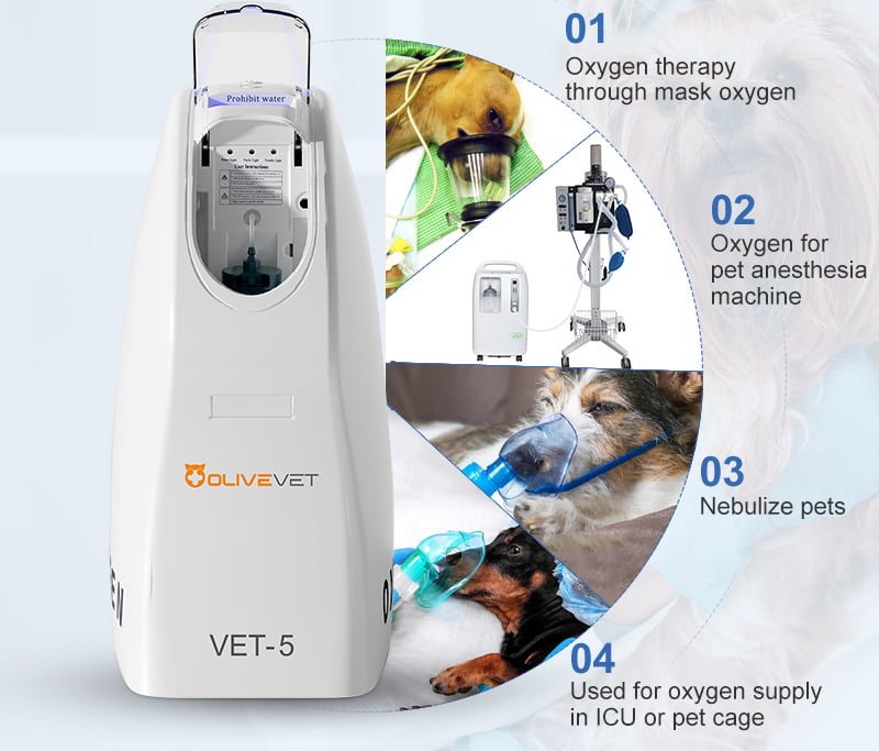 Oxygen concentrator for veterinary anesthesia