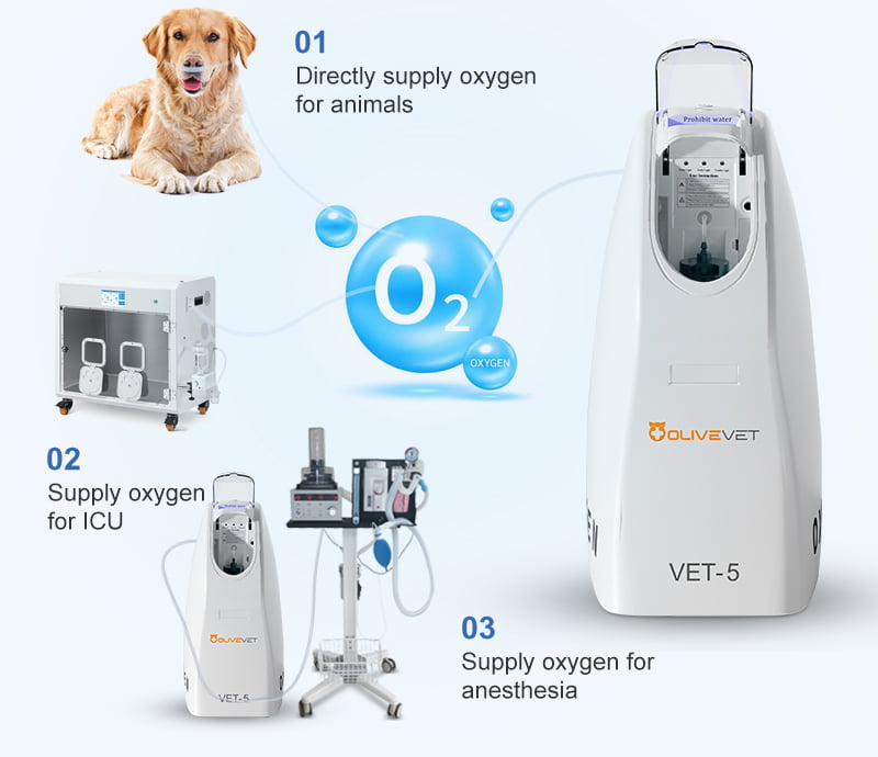 Veterinary oxygen concentrator manufacturer