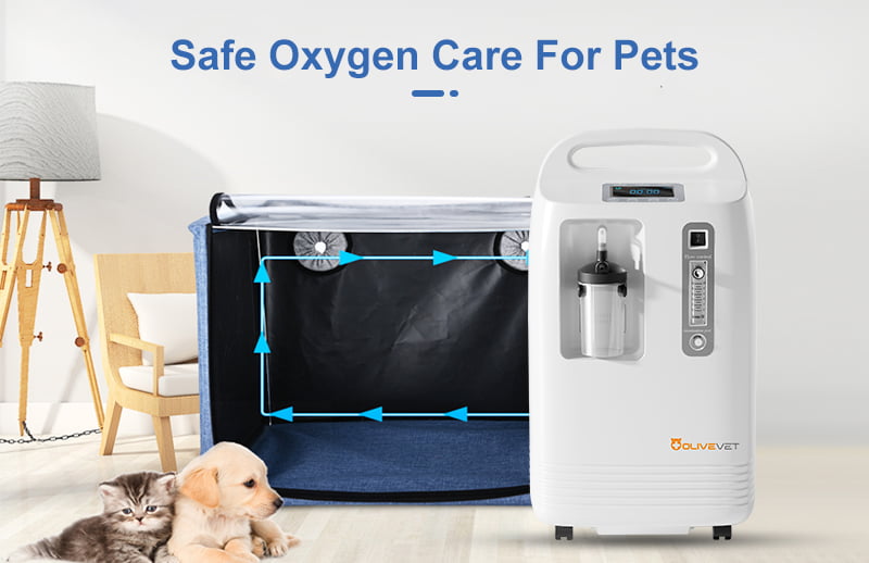 Animal oxygen concentrator