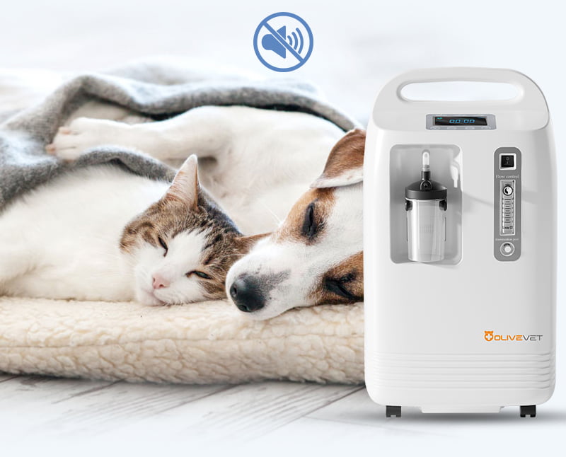 Veterinary oxygen concentrator for pets