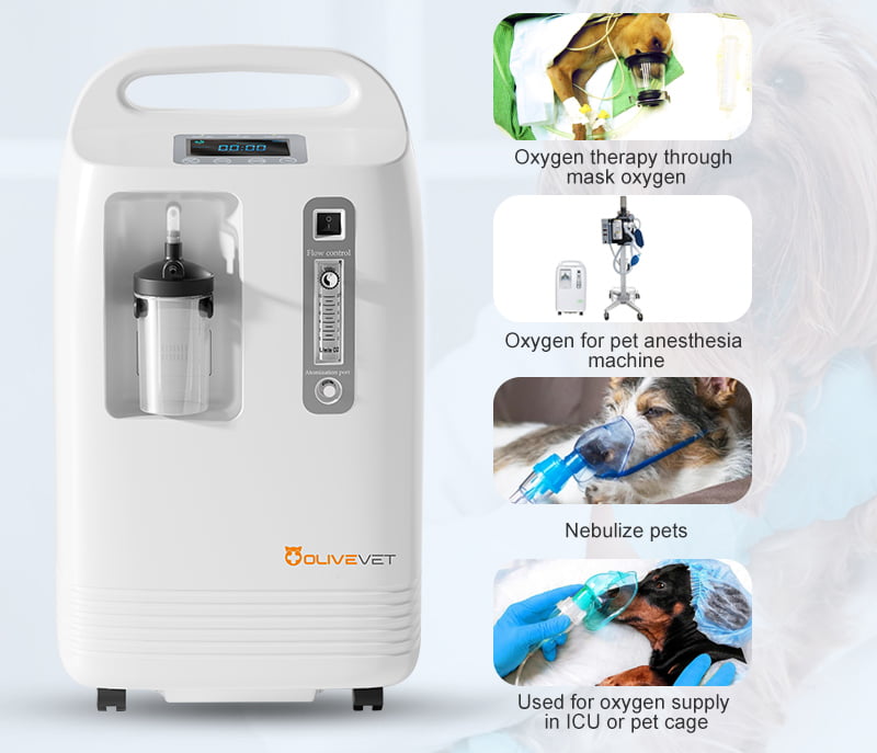 Veterinary oxygen therapy equipment