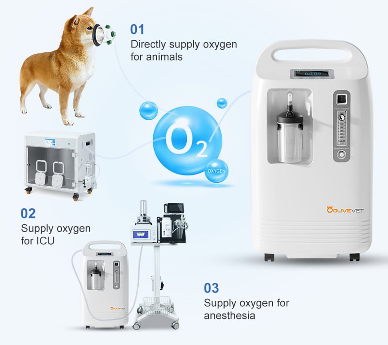Veterinary oxygen concentrator for pets