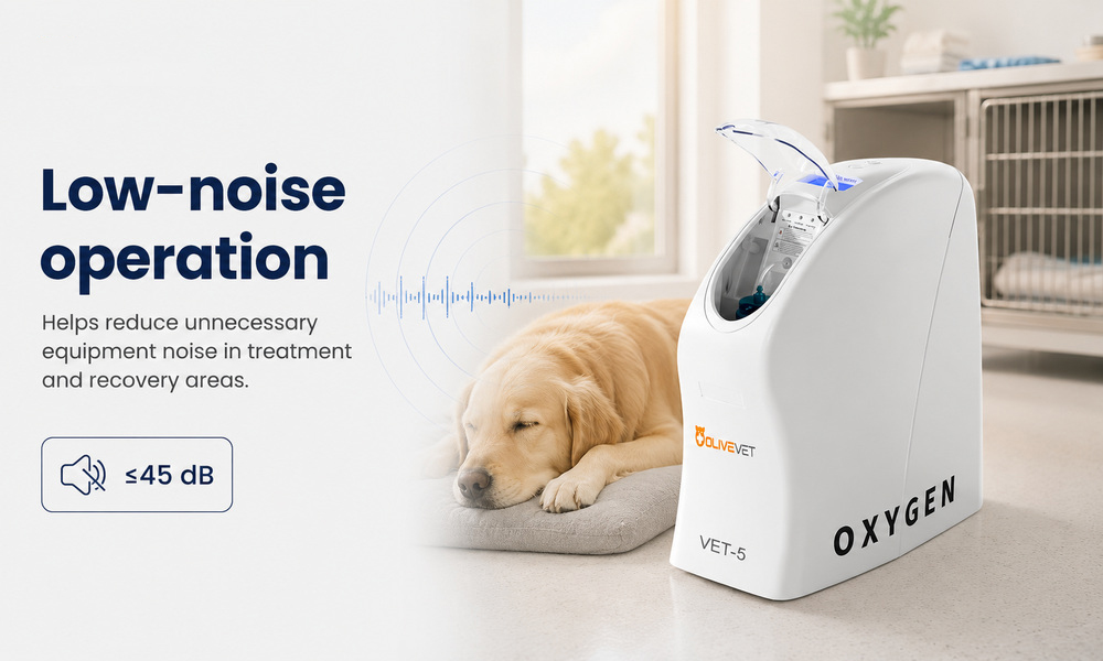 Veterinary Oxygen Concentrator Equipment