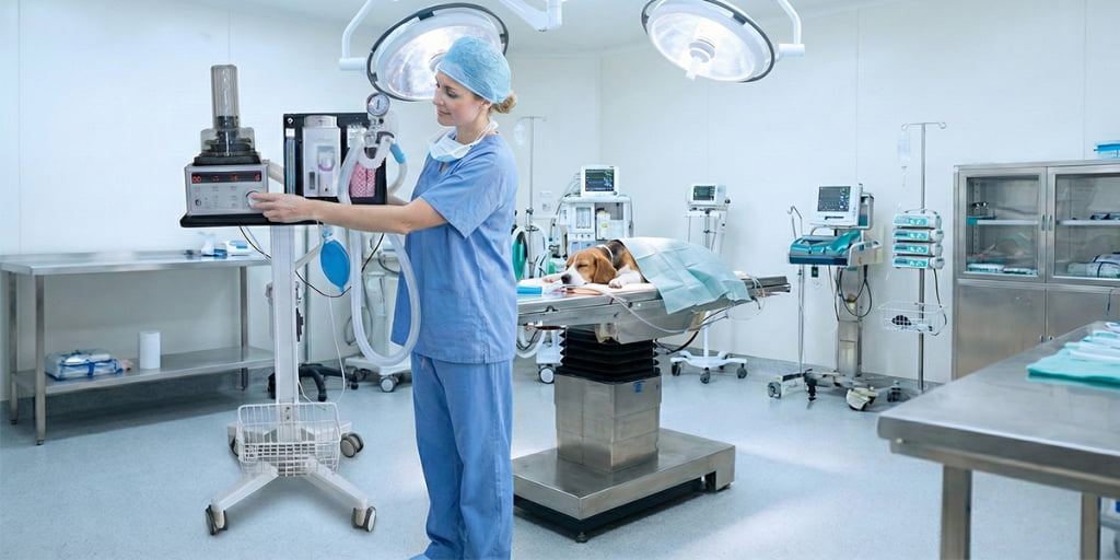 Veterinary anesthesia machine for controlled anesthesia delivery