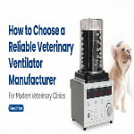 Veterinary ventilator for controlled respiratory support