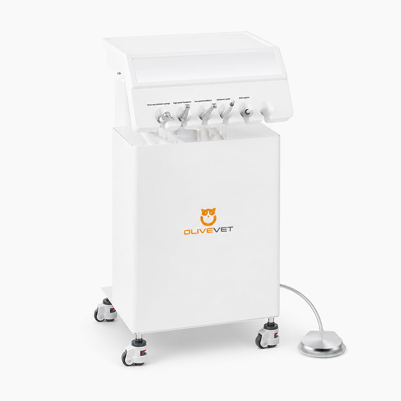 veterinary dental unit portable
