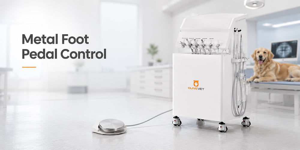 veterinary dental unit multi function system