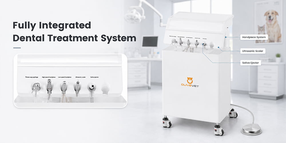 vet dental equipment oral treatment system