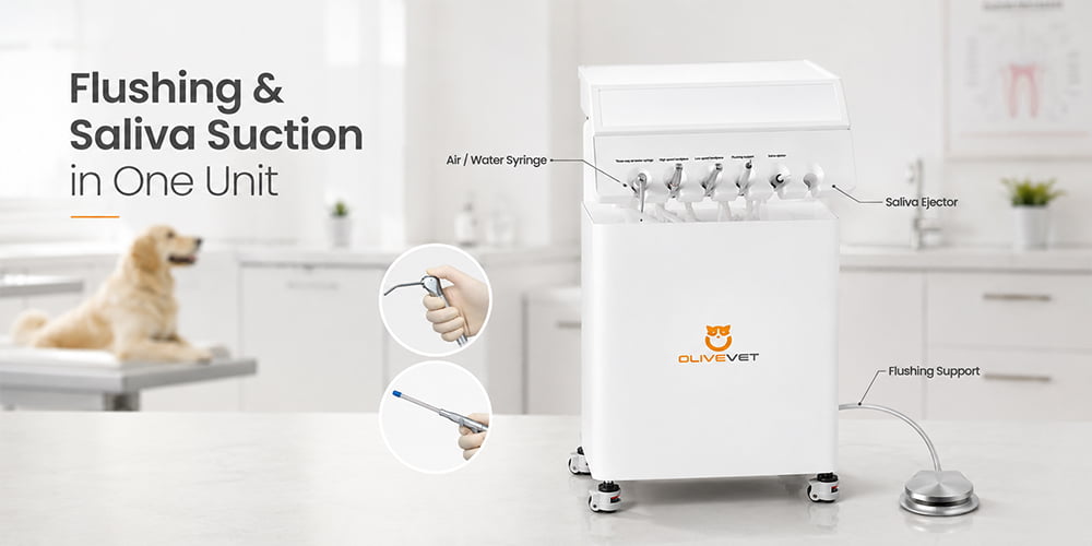veterinary dental treatment machine clinic use