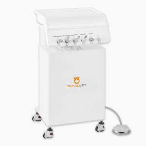veterinary dental unit portable