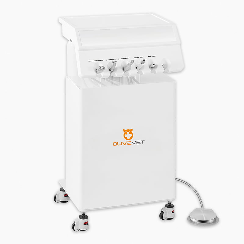 veterinary dental unit portable