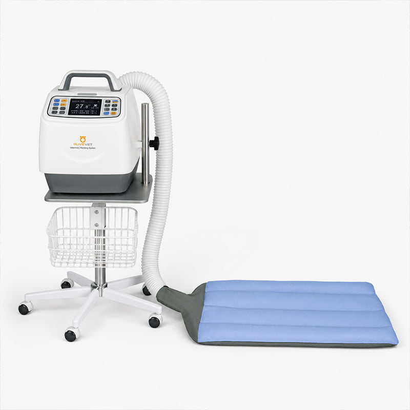 Veterinary warming system