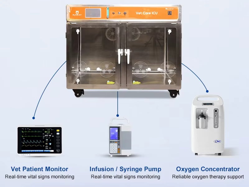 Pet oxygen chamber for veterinary clinics and animal hospitals