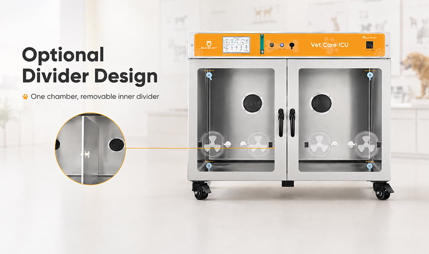 Pet ICU chamber with optional movable divider design