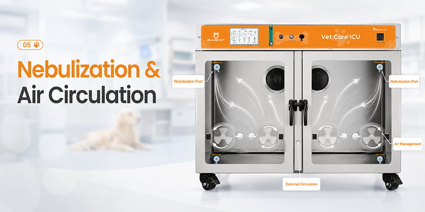 Veterinary ICU chamber with nebulization and air circulation support