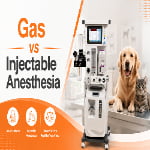 Gas vs Injectable Anesthesia